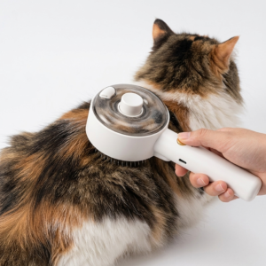 Home brushing fluffy cat with brush 202608311844
