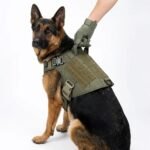 german shepherd wearing tactical… 202608311841