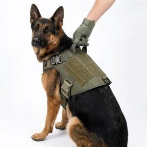 Home german shepherd wearing tactical… 202608311841