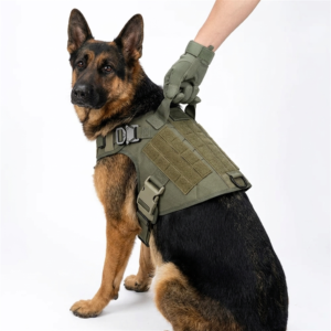 Home german shepherd wearing tactical… 202608311841