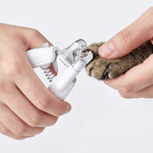 Home trimming cat claw with clippers 202608311954